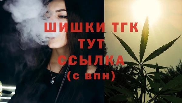 2c-b Дмитриев