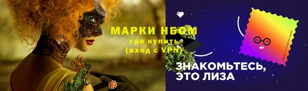 2c-b Дмитриев