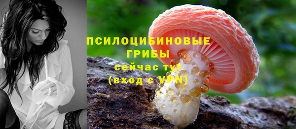хмурый Новодвинск