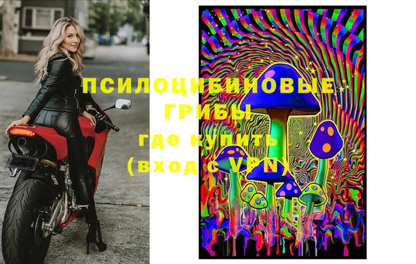дживик Дмитровск