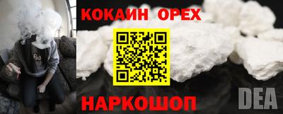 эйфоретик Кимры