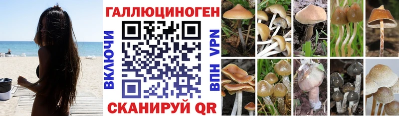 Псилоцибиновые грибы GOLDEN TEACHER  Саянск 
