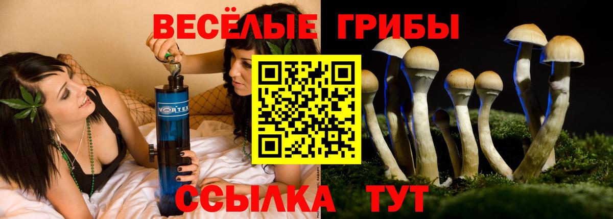 Саянск  Псилоцибиновые грибы прущие грибы  Вход с VPN 